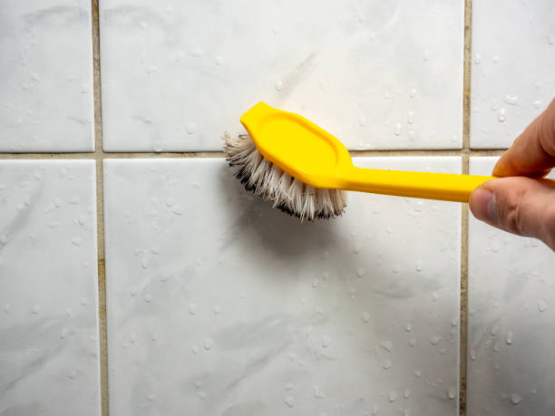 Best Mold Testing and Removal  in Lowesville, NC