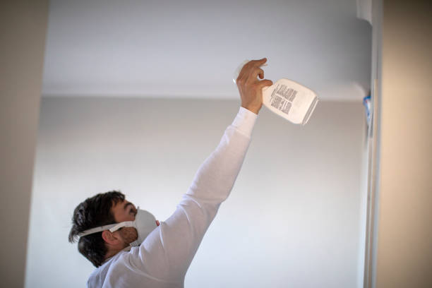Best Mold Inspection  in Lowesville, NC