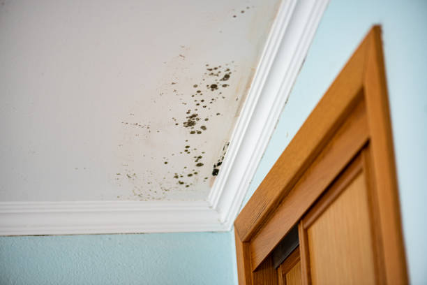 Water Damage Restoration in Lowesville, NC