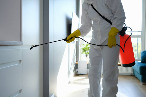 Best Attic Mold Removal  in Lowesville, NC
