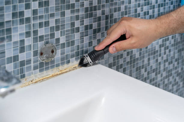 Best Emergency Mold Removal  in Lowesville, NC