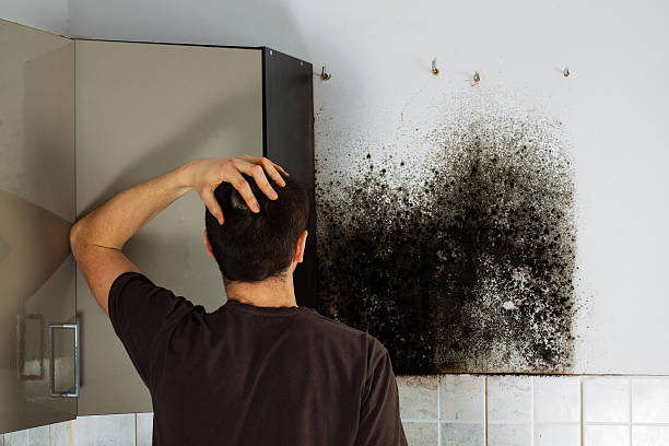 Best Mold Testing  in Lowesville, NC
